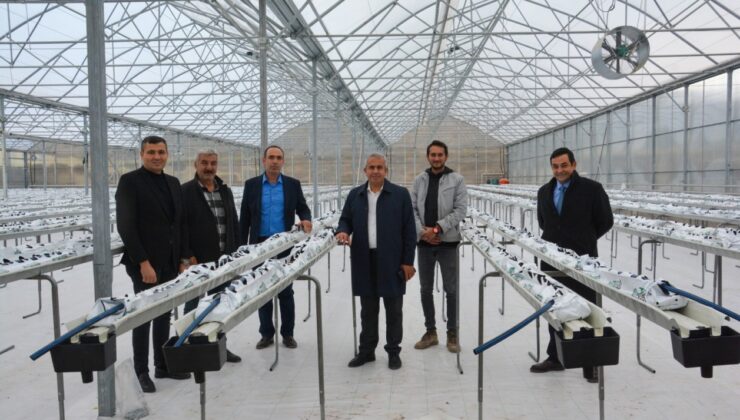 Termal Sera İle Verimli Üretim Başlıyor