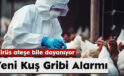 Yeni Kuş Gribi Alarmı: Virüs Ateşe Bile Dayanıyor
