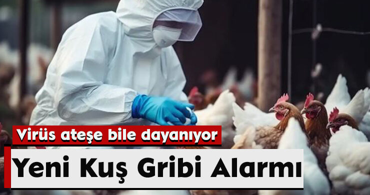 Yeni Kuş Gribi Alarmı: Virüs Ateşe Bile Dayanıyor