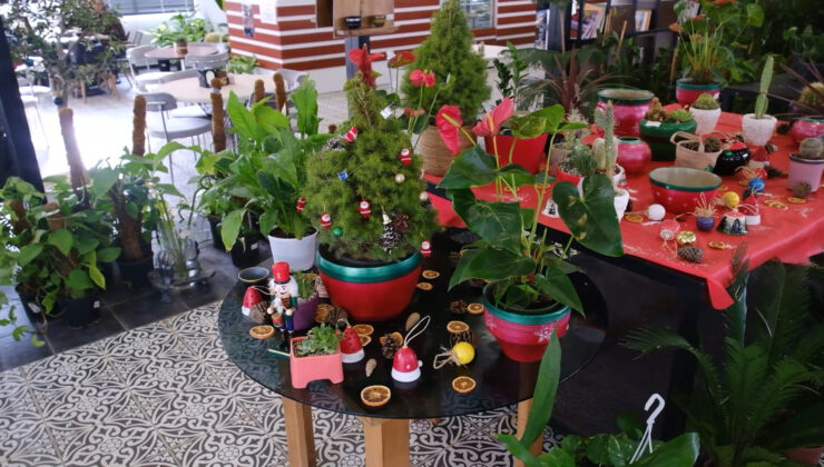 Yeni Yılın Renkleri ABB Bitki Evlerinde Vatandaşla Buluşuyor