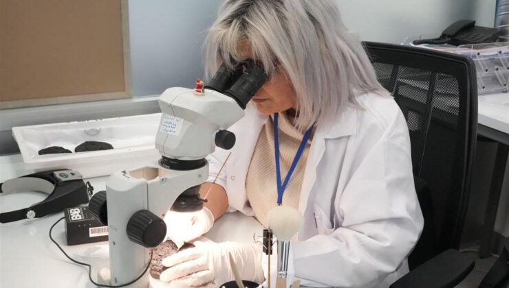 Bakan Ersoy: “Türkiye, Dünyanın Sayılı Konservasyon Merkezlerinden Birine Sahip”