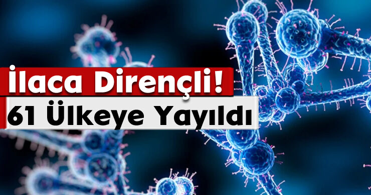 İlaca Dirençli! 61 Ülkeye Yayıldı