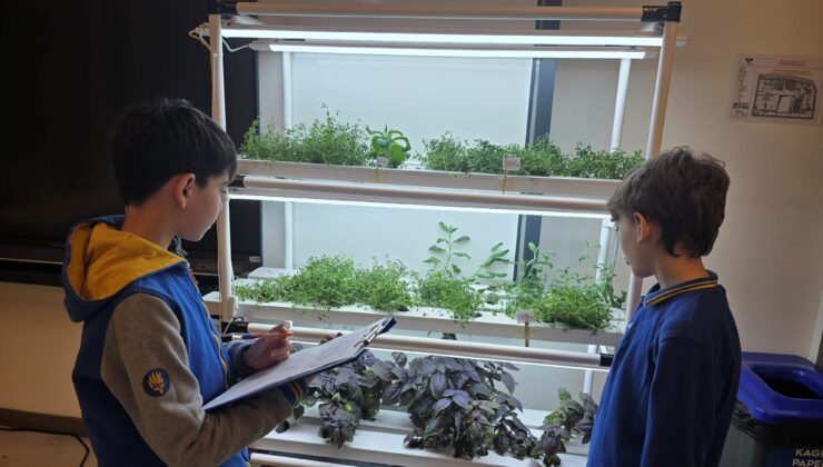 Ortaokul Öğrencileri Maruldan Şampuan, Reyhandan Sıvı Baharat Geliştirdi