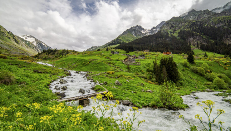 Doğanın Kalbinde Yeni Rotalar: Kaçkar’ın Yaylaları Turizmin Yeni Gözdesi