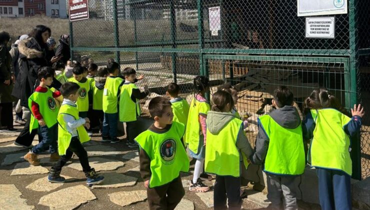 Pursaklar’da Doğa ve Eğitim Bir Arada