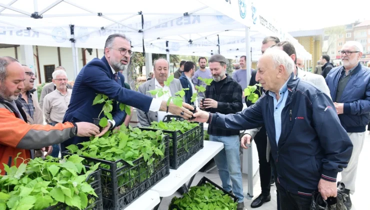 Tarım Şehri Bursa Kestel’de Ahududu Seferberliği