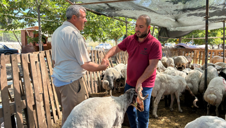 Seferihisar Belediyesi’nden Kurban Bayramı Uyarısı;  Belirlenen Alanlar Dışında Kesim Yasak