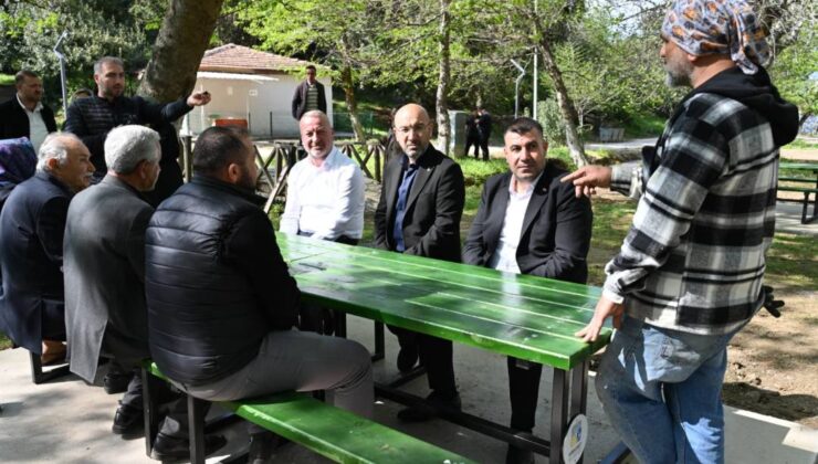 Yeniköy Piknik Alanı Yaza Hazır