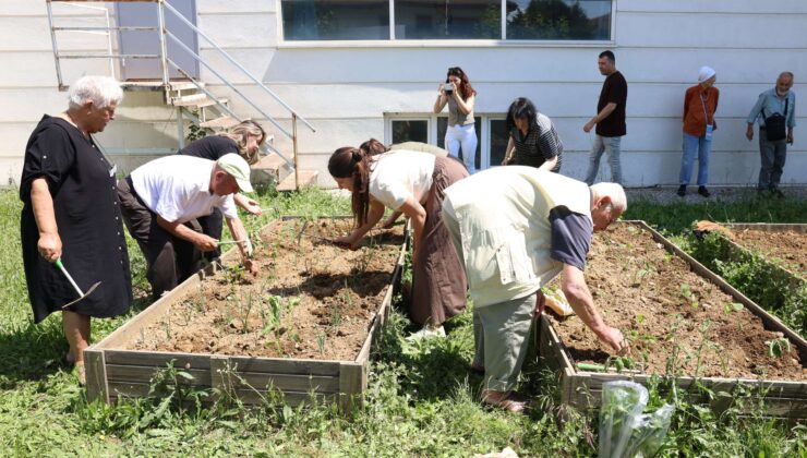 Nilüfer’de Yaşlılar Fideleri Toprakla Buluşturdu