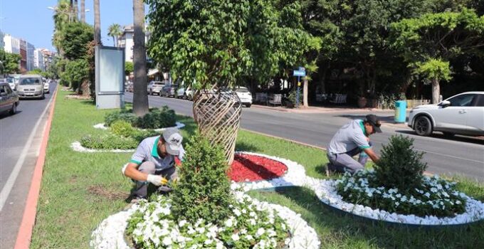 ALANYA BELEDİYESİ’NDEN YEŞİL ALANLARDA YOĞUN MESAİ