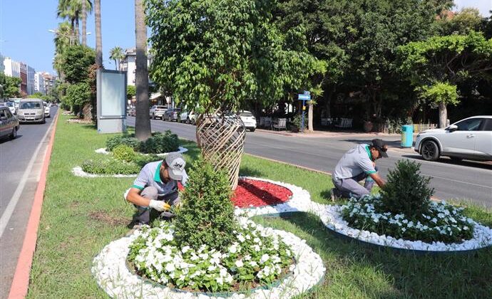 ALANYA BELEDİYESİ’NDEN YEŞİL ALANLARDA YOĞUN MESAİ