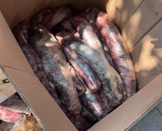 HALK SAĞLIĞINI TEHDİT EDEN 300 KİLOGRAM ET İMHA EDİLDİ