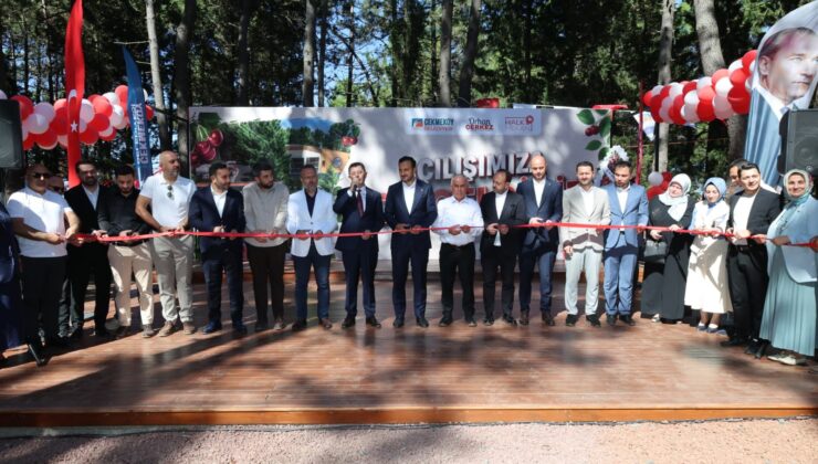 Reşadiye Mesire Alanı Törenle Hizmete Açıldı